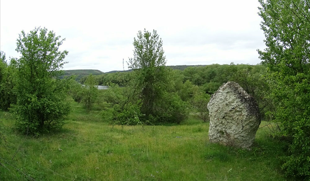Сеноманівські вапняки побл. с. Бронниця